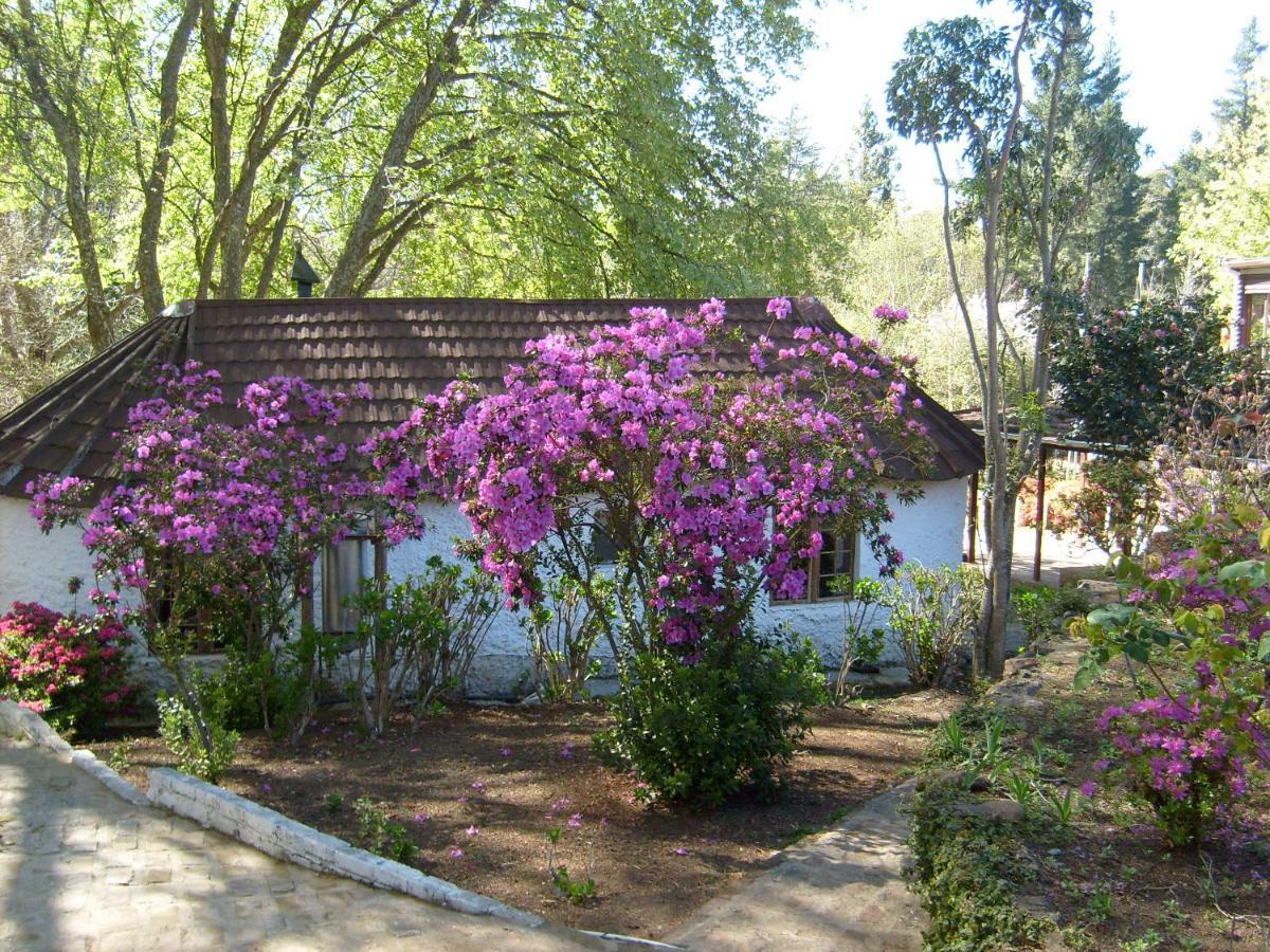 Kings Lodge Hotel Hogsback Eksteriør bilde