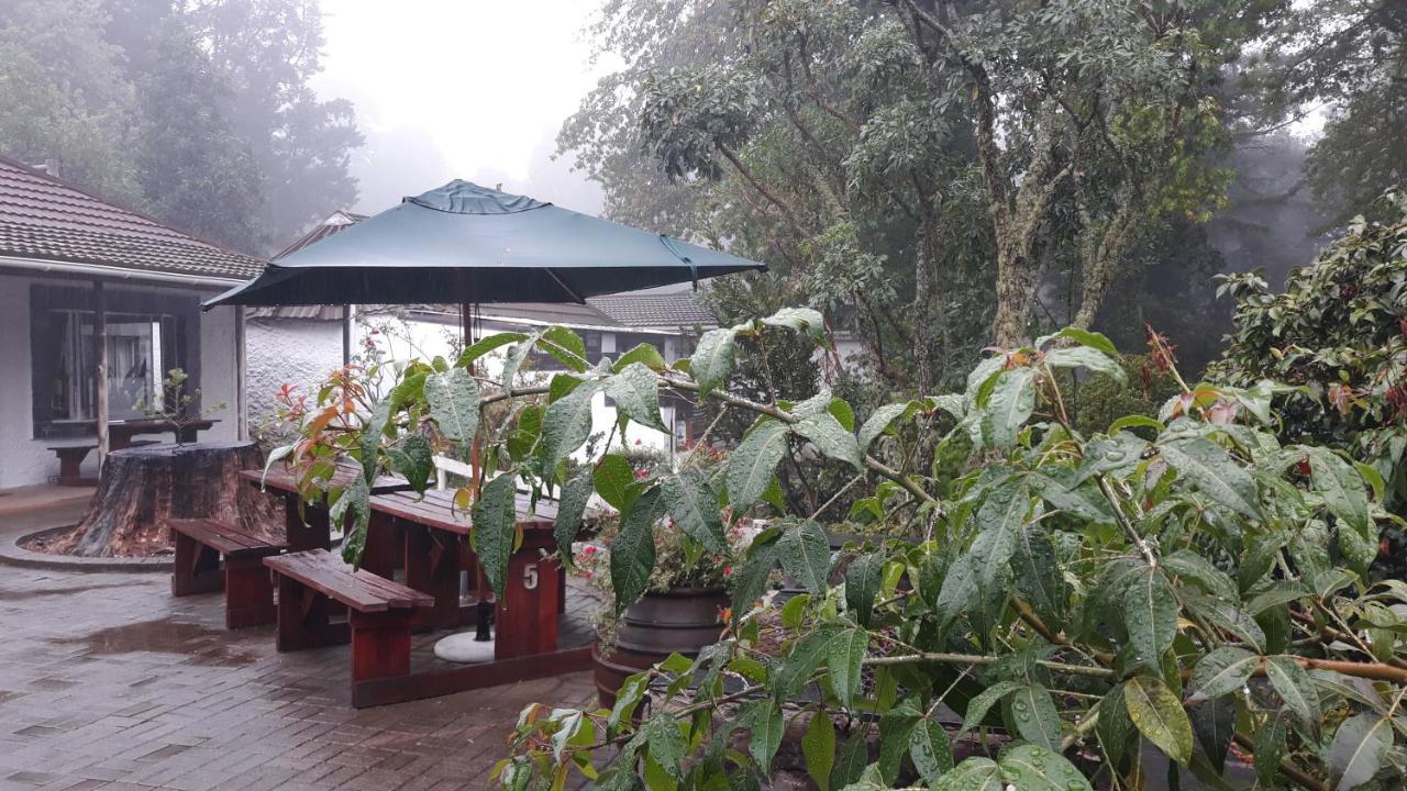Kings Lodge Hotel Hogsback Eksteriør bilde