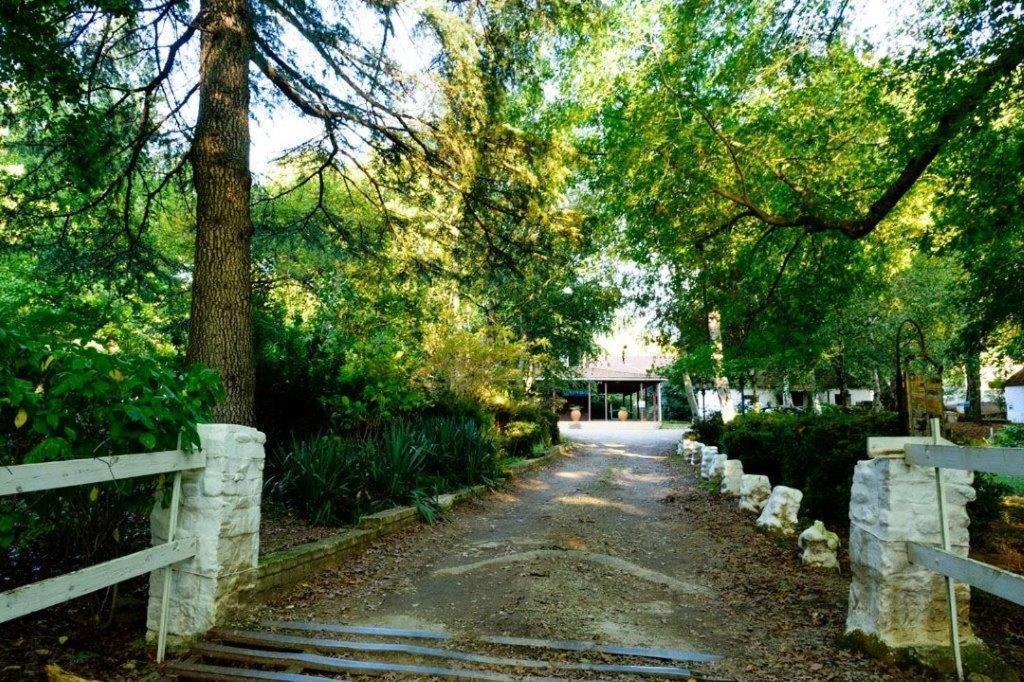 Kings Lodge Hotel Hogsback Eksteriør bilde