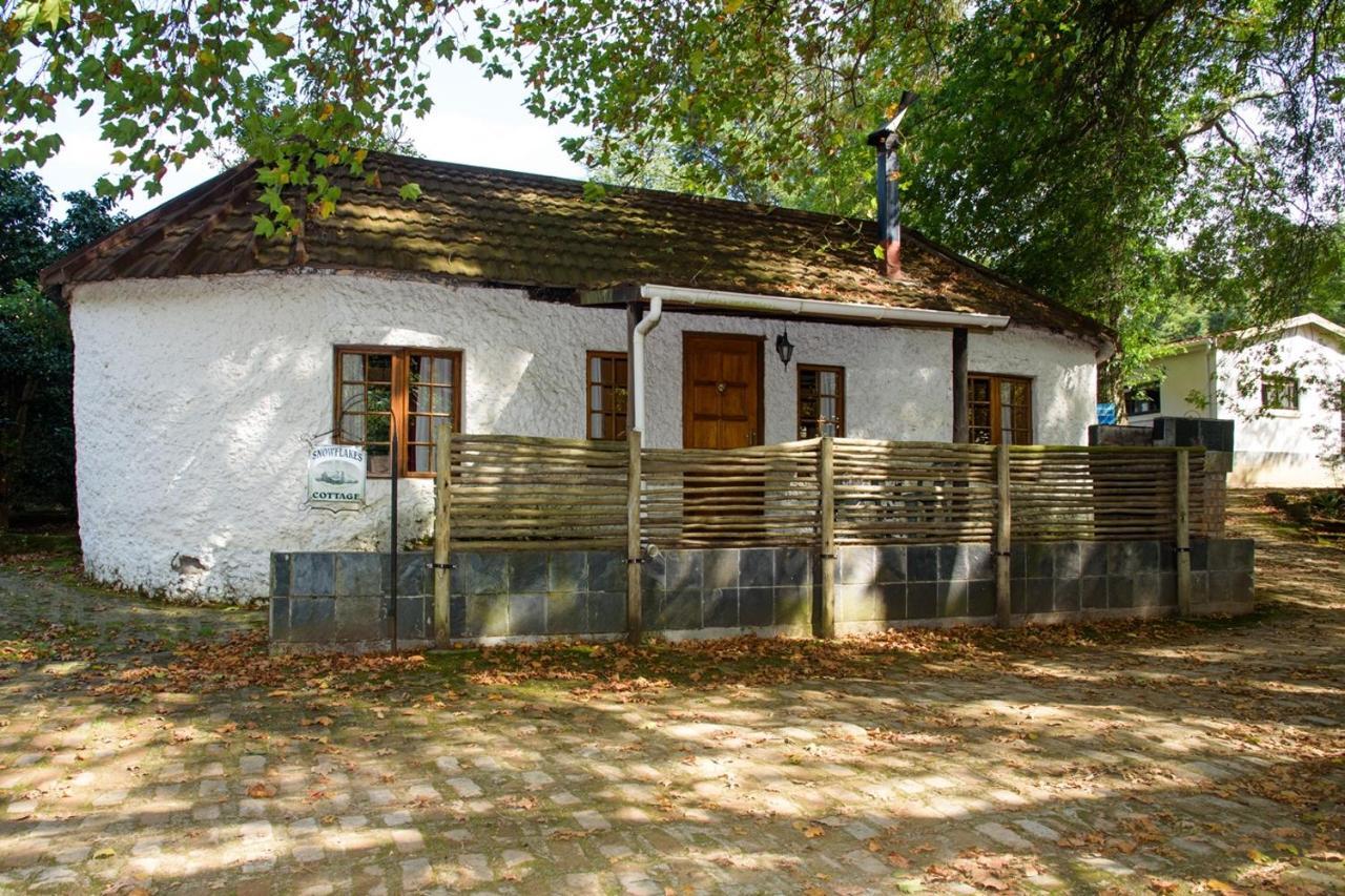 Kings Lodge Hotel Hogsback Eksteriør bilde