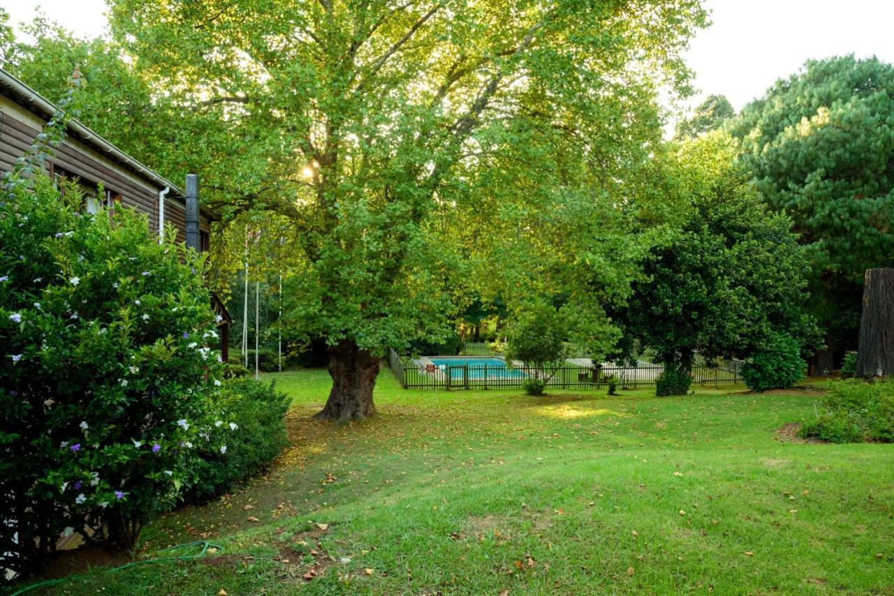 Kings Lodge Hotel Hogsback Eksteriør bilde